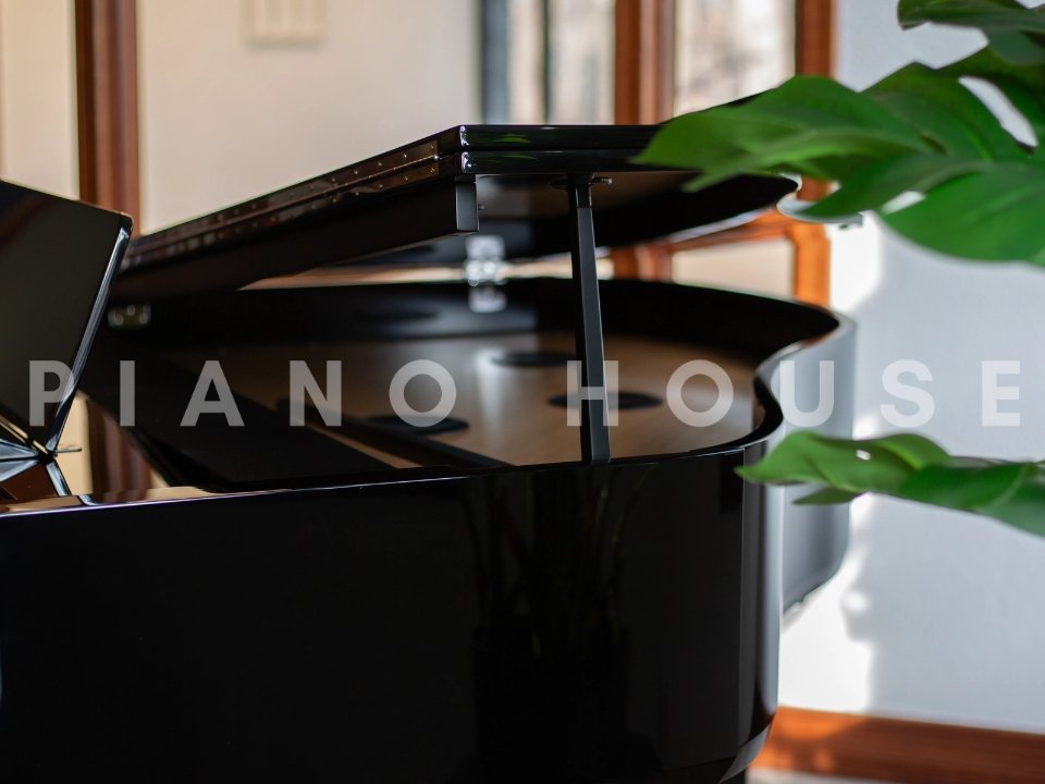 Cận cảnh ROLAND GP-9M PE tại Piano House